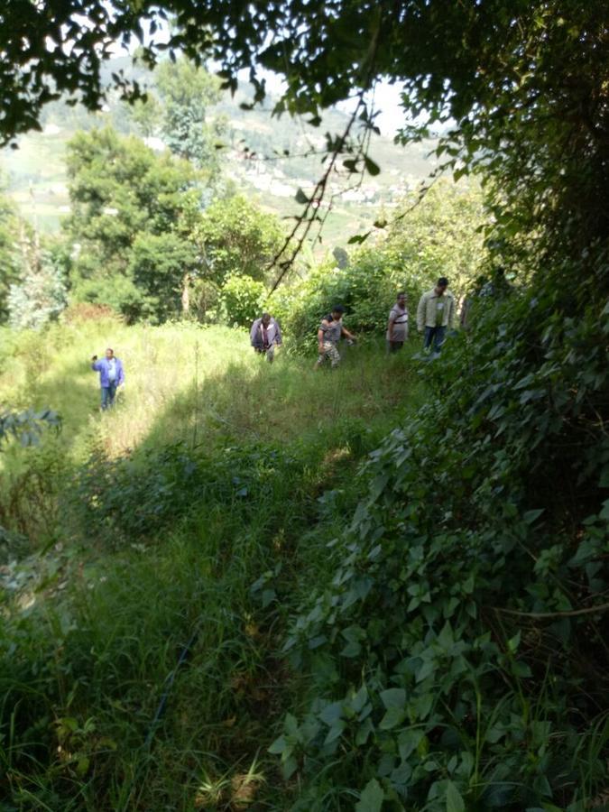 Holidays And Celebrations Kodaikanal Bagian luar foto