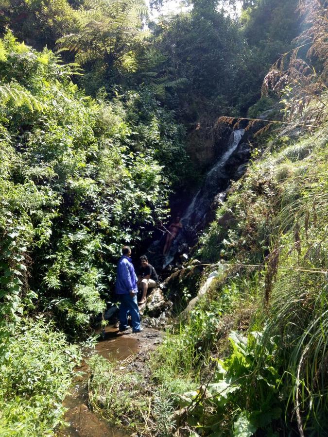 Holidays And Celebrations Kodaikanal Bagian luar foto