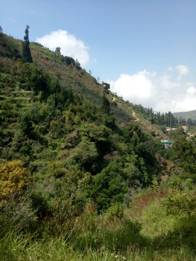 Holidays And Celebrations Kodaikanal Bagian luar foto